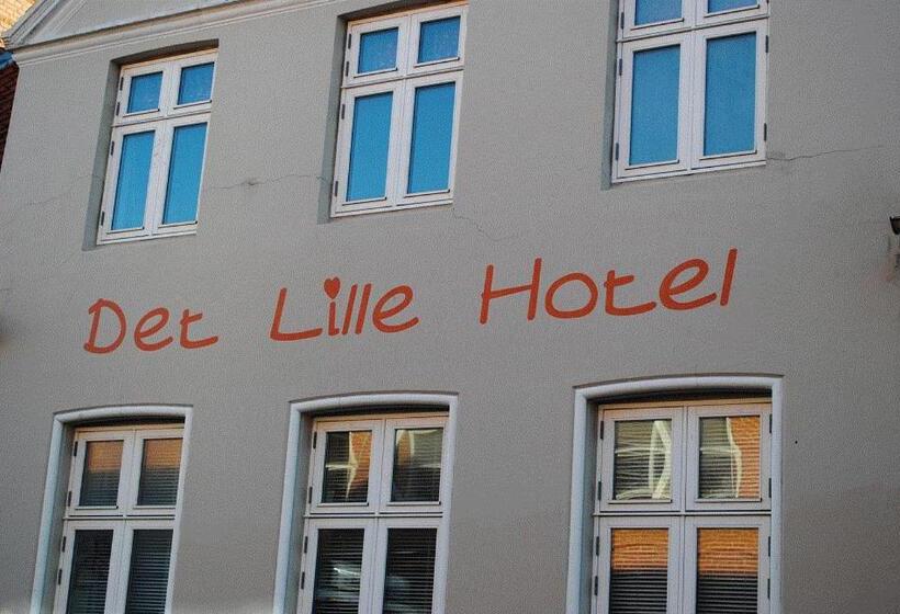 בית מלון כפרי Det Lille