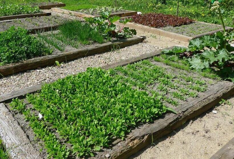 בית מלון כפרי Dom Młynarza