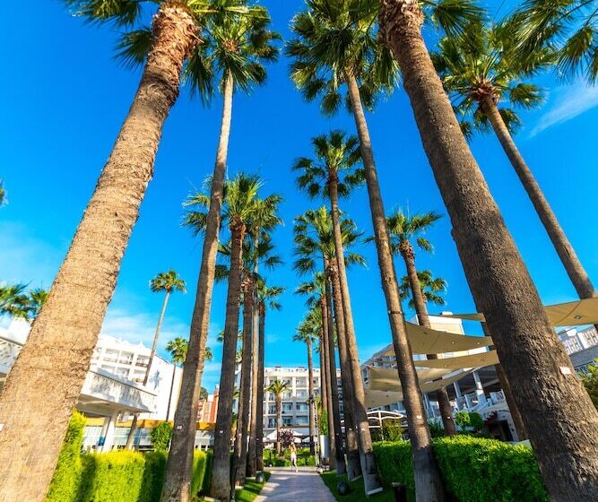 فندق Prime Beach