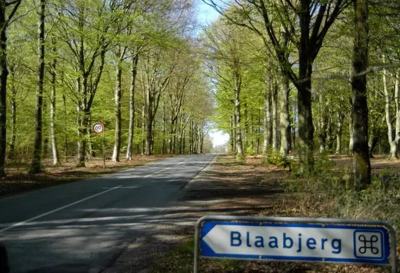 Nr. Nebel Overnatning Hostel