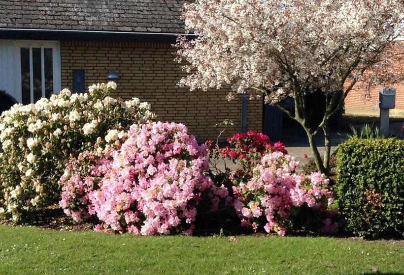 צימר Horsens Room