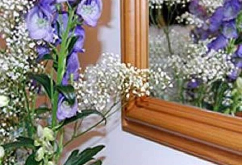 Bed and Breakfast The Olive Branch