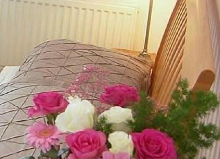 Bed and Breakfast The Olive Branch