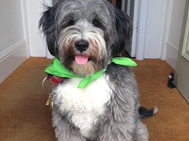 Bed and Breakfast The Olive Branch