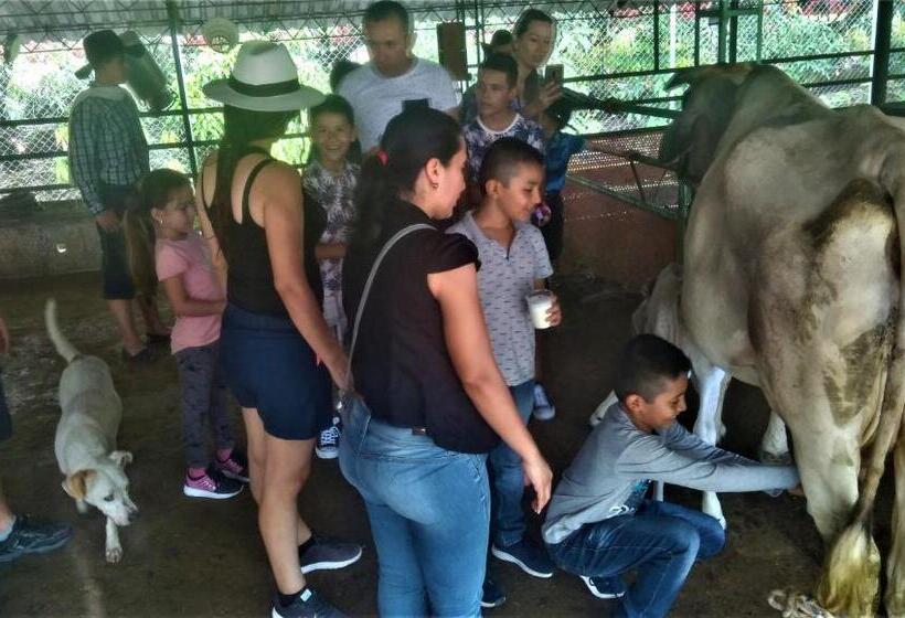 בית מלון כפרי Y Parque Turístico Navar City