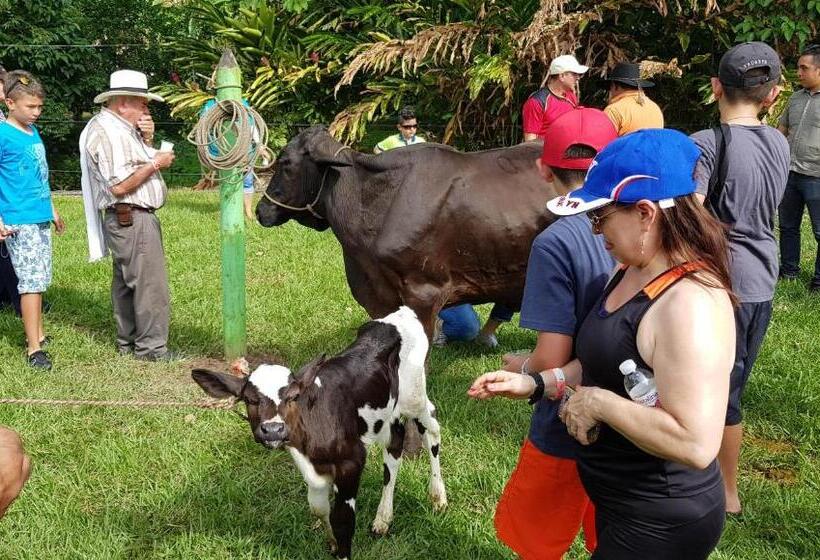 בית מלון כפרי Y Parque Turístico Navar City