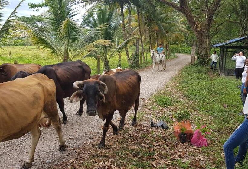 בית מלון כפרי Y Parque Turístico Navar City