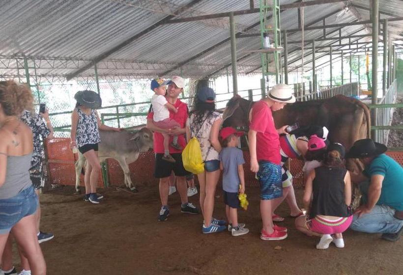 בית מלון כפרי Y Parque Turístico Navar City