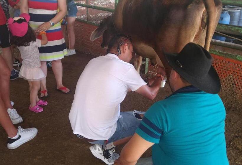 בית מלון כפרי Y Parque Turístico Navar City