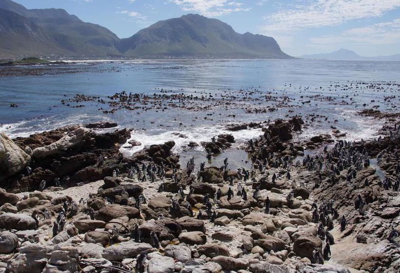 Пансион Van Den Berg S Guesthouse