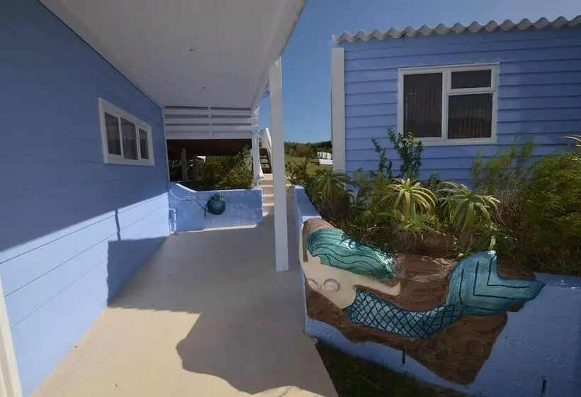 The Mermaids Tail