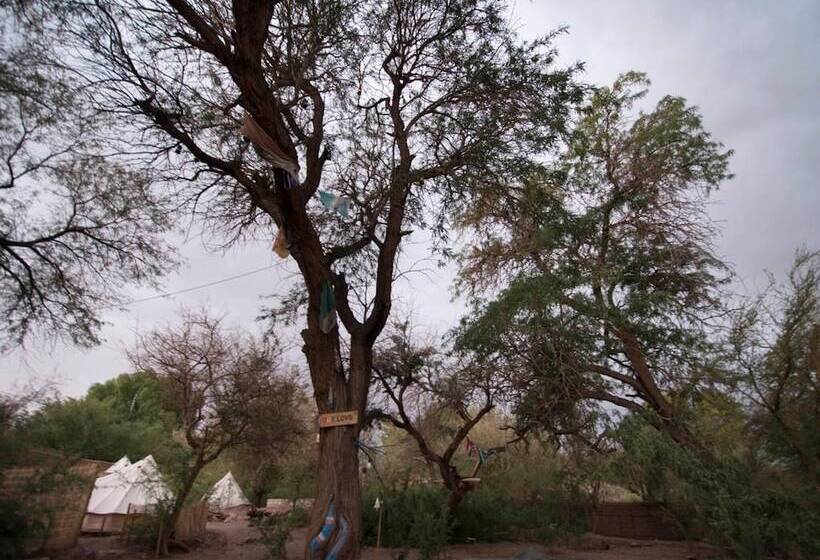 Aji Verde Hostel San Pedro