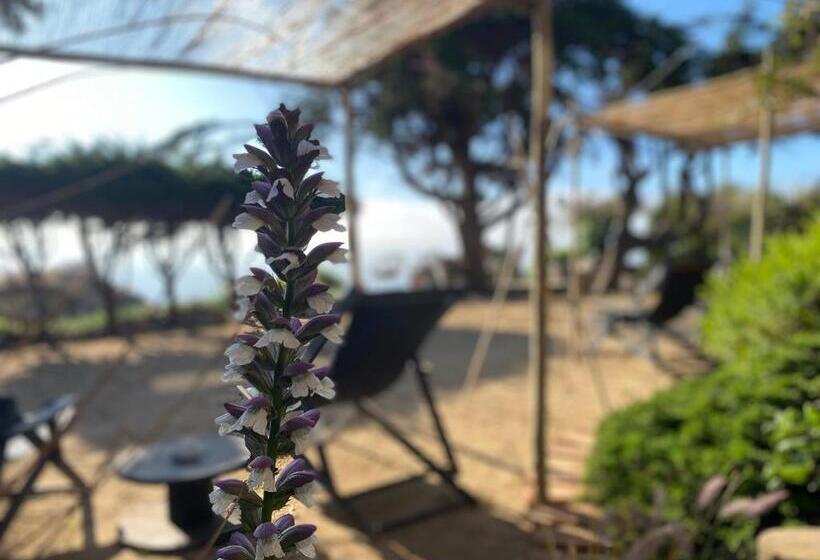 Hostal Posada Portal Del Sol