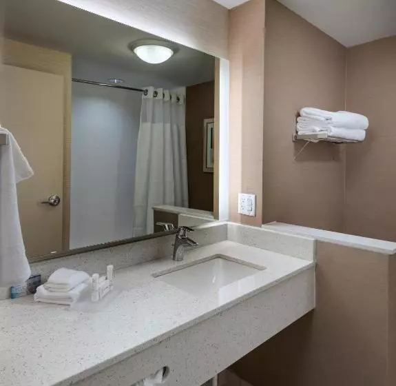 ホテル Fairfield Inn & Suites By Marriott Dublin