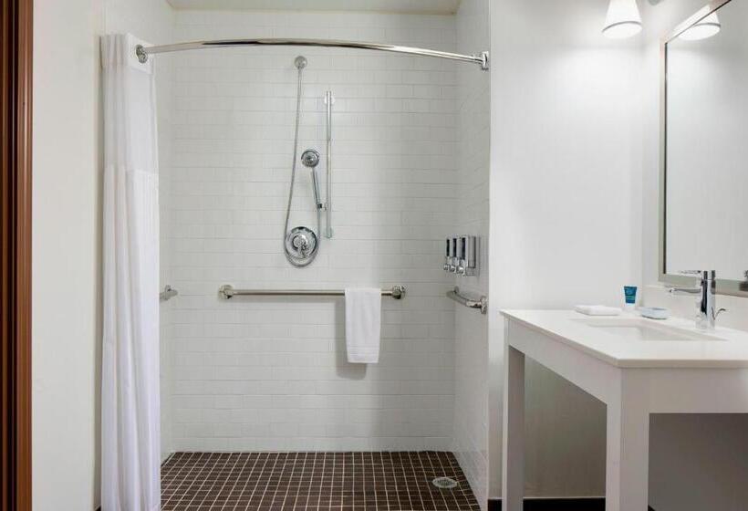 ホテル Four Points By Sheraton Dallas Fort Worth Airport North