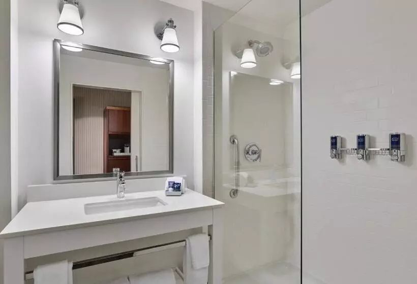ホテル Four Points By Sheraton Dallas Fort Worth Airport North