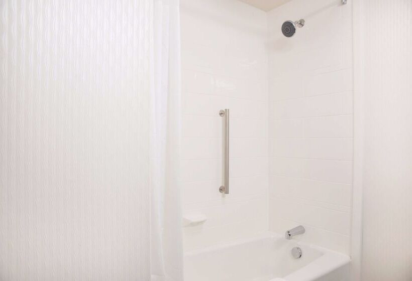 فندق Hampton Inn Big Rapids