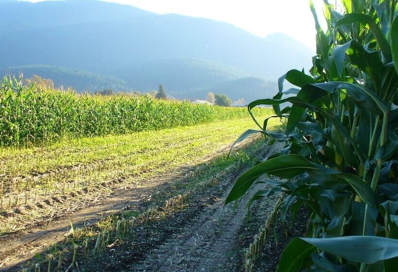 ホテル Harrison Hammond House Farmstay