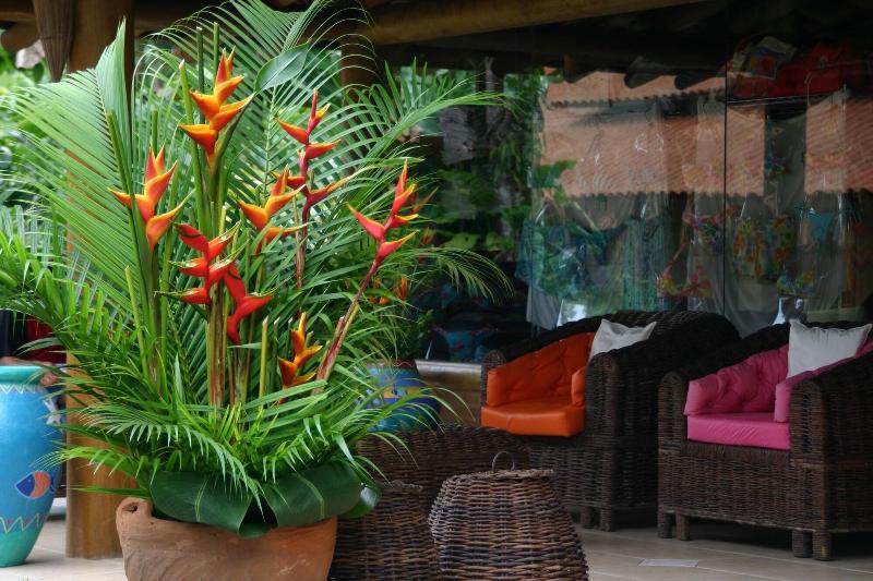 호텔 Itamambuca Eco Resort