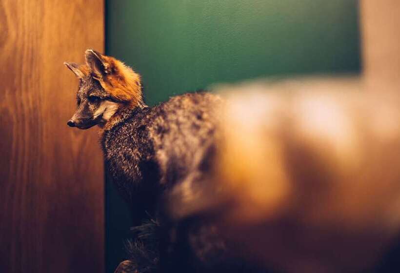 호텔 Motto By Hilton Washington Dc City Center