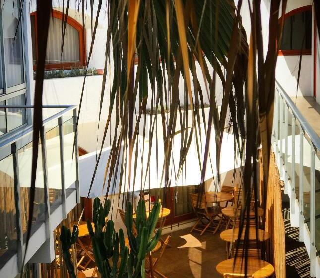 هتل Puerto Chinchorro