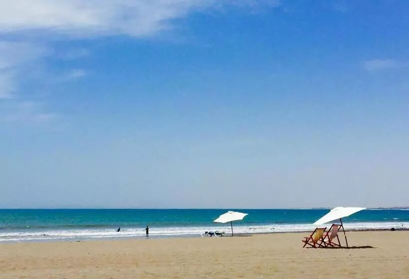 ホテル Puerto Chinchorro