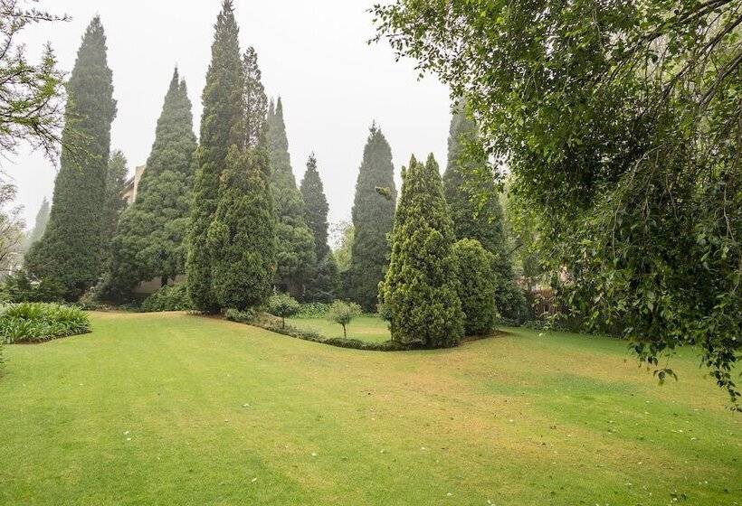 ホテル Road Lodge Johannesburg Airport