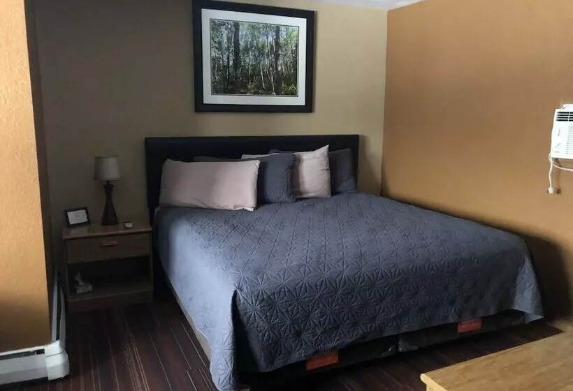 モーテル Adoba® Hotel Naubinway