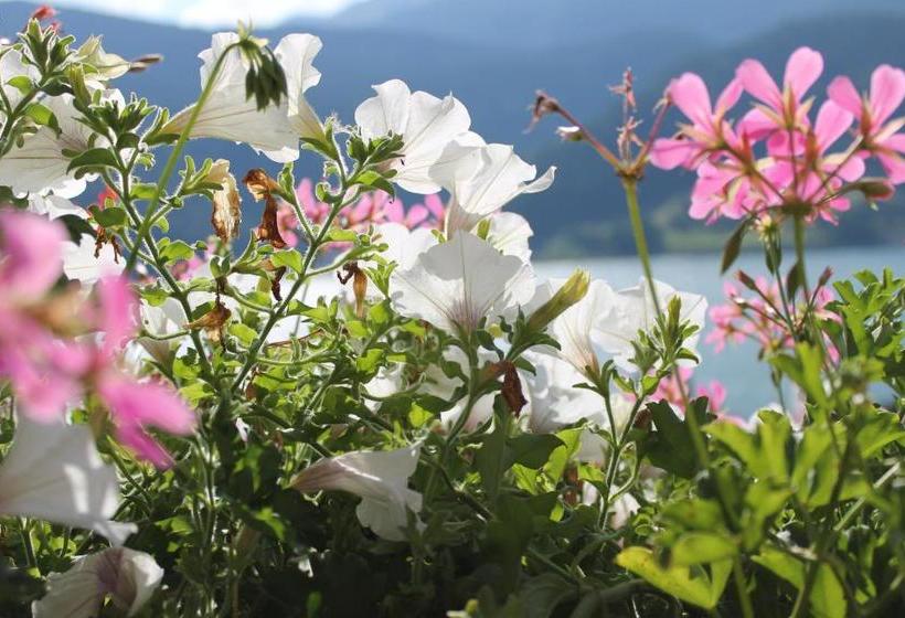 住宿加早餐 Residence Garni Alpenstern