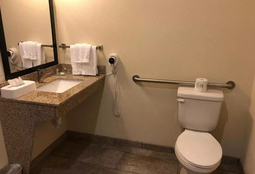 Cobblestone Hotel & Suites Paxton