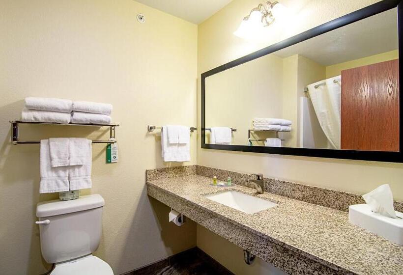 Cobblestone Hotel & Suites   Paxton