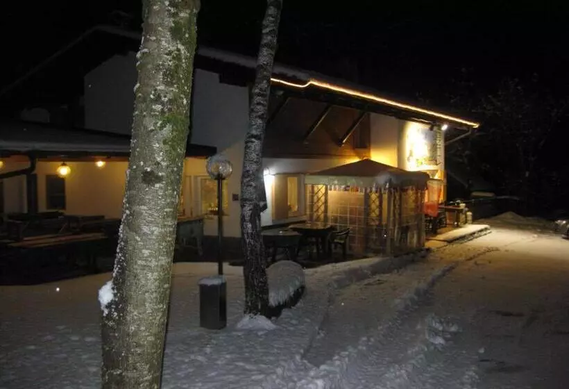 Hotelli Albergo Pineta