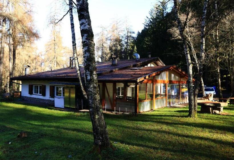 Отель Albergo Pineta