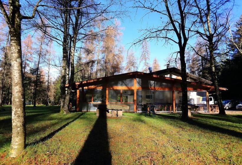 Отель Albergo Pineta