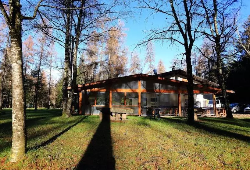 Hotelli Albergo Pineta