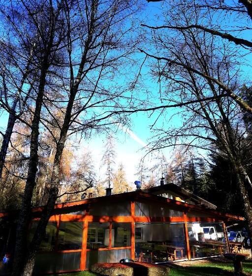 Отель Albergo Pineta