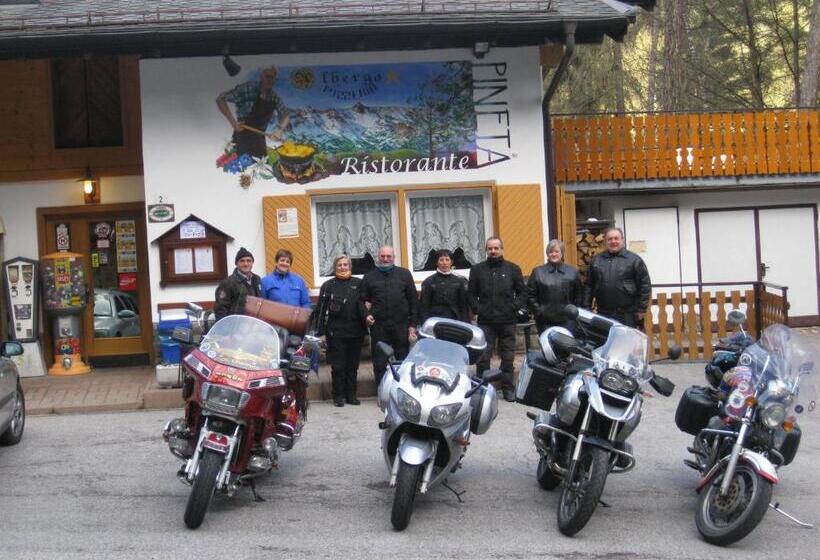 Отель Albergo Pineta