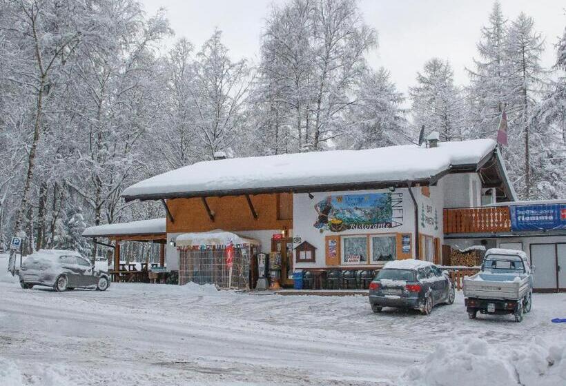 Отель Albergo Pineta