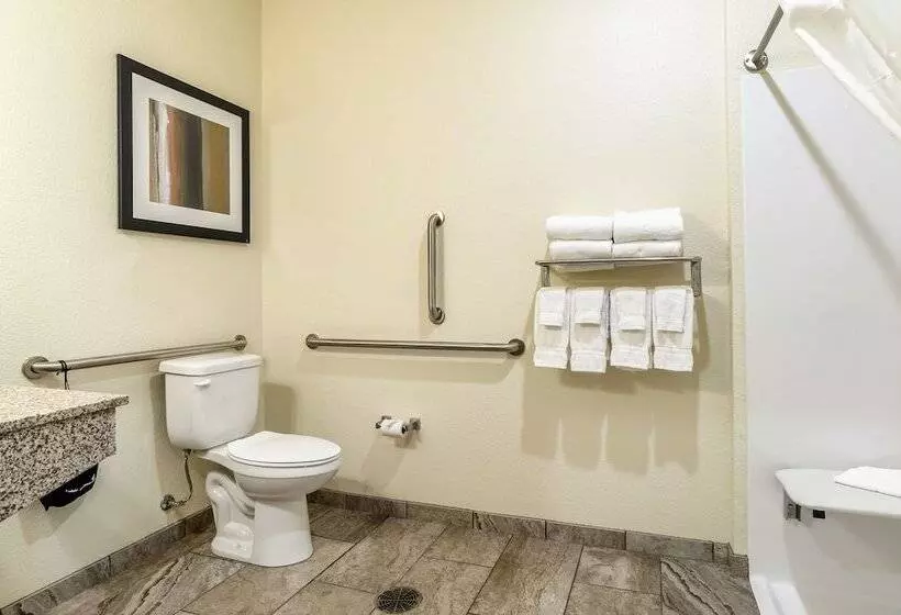 Cobblestone Hotel & Suites Paxton