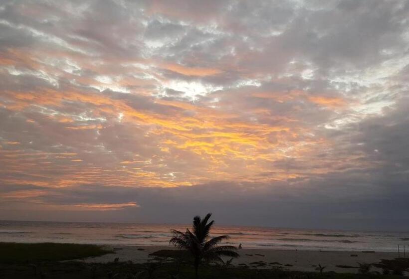 Hotel Hosteria Canoa