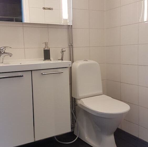 בית מלון כפרי Li Viikinhovi