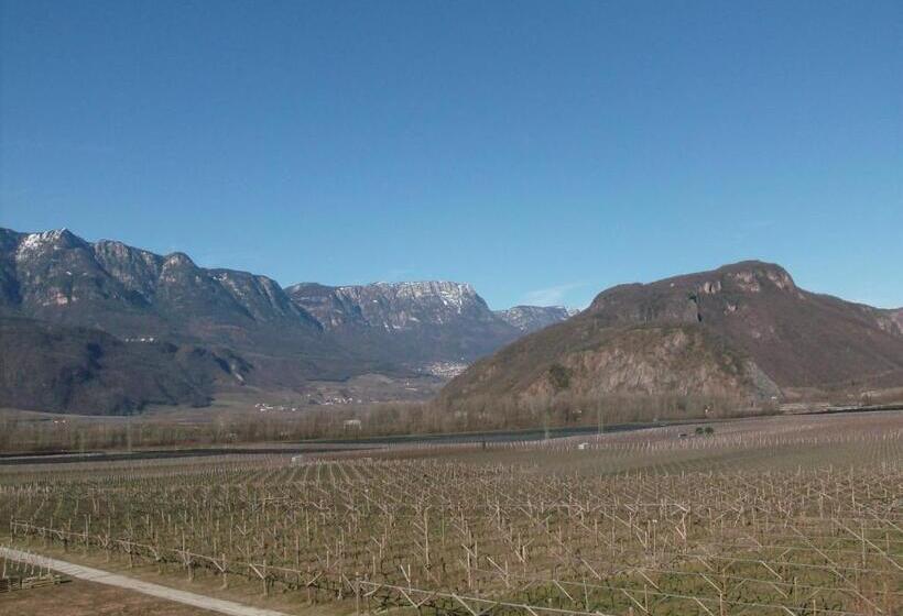 فندق Gasthaus Pension Flora