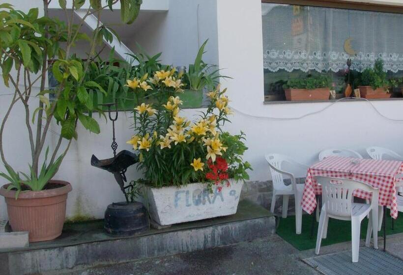 فندق Gasthaus Pension Flora