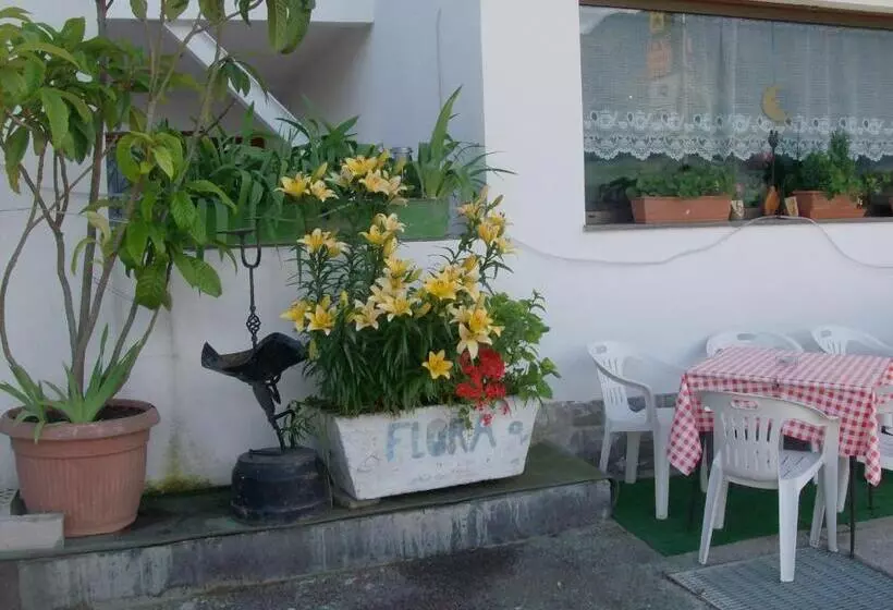 ホテル Gasthaus Pension Flora