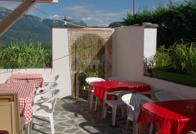 فندق Gasthaus Pension Flora