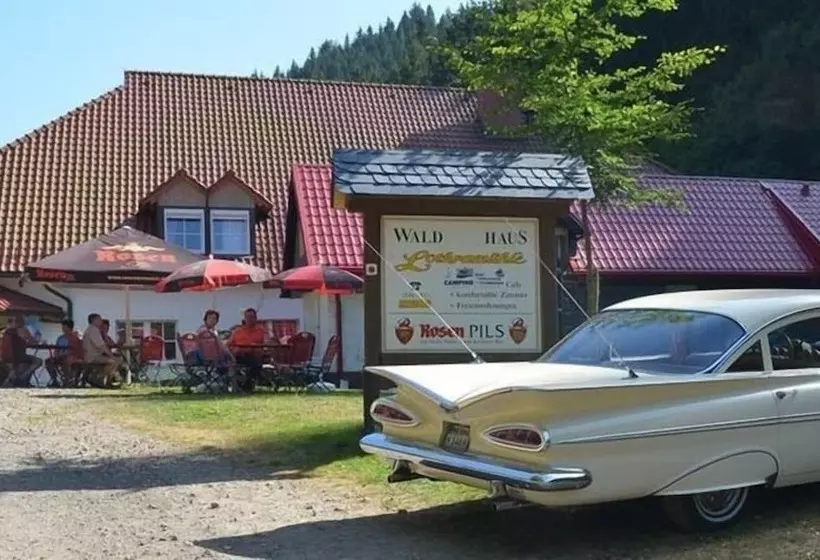 Hotel Sommerfrische Lothramühle