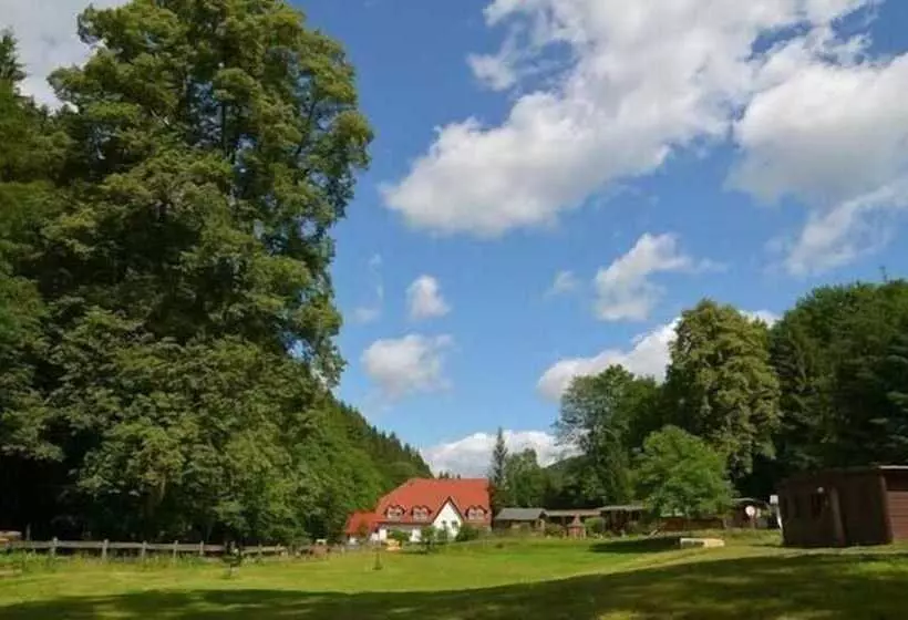 Hotel Sommerfrische Lothramühle