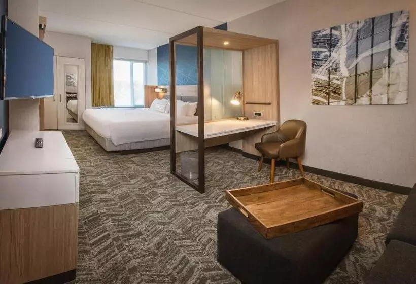 ホテル Springhill Suites By Marriott Gainesville Haymarket