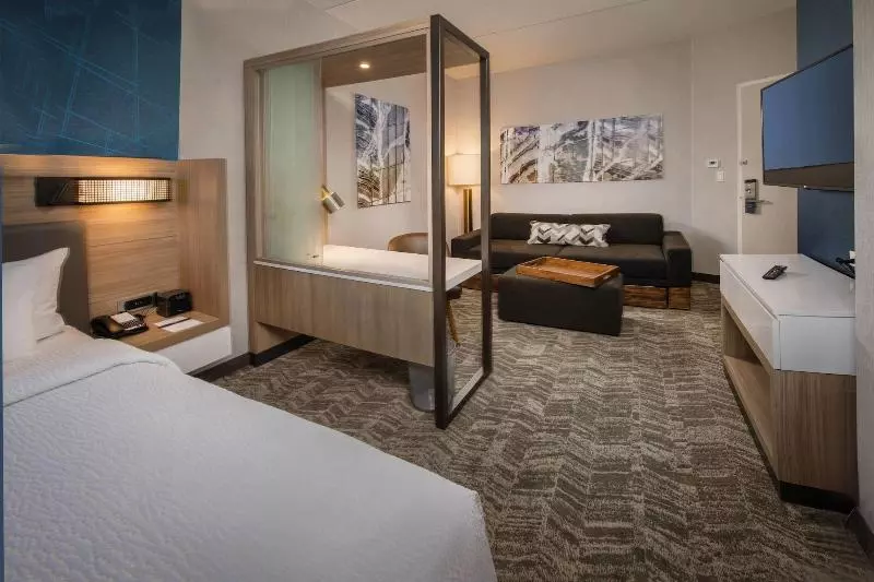 ホテル Springhill Suites By Marriott Gainesville Haymarket