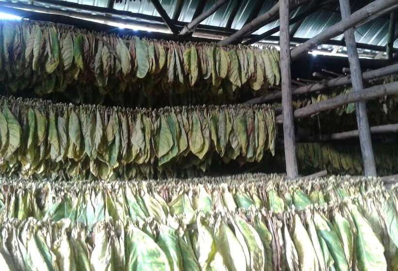 پانسیون Casa Finca Don Amable